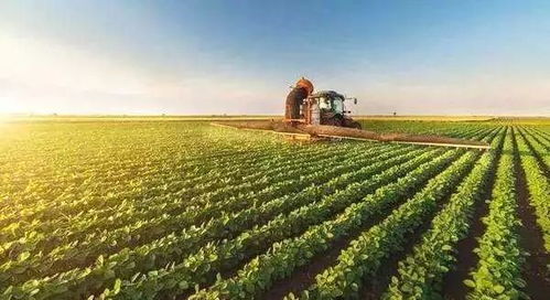 關(guān)于開展土地經(jīng)營權(quán)入股發(fā)展農(nóng)業(yè)產(chǎn)業(yè)化經(jīng)營試點的指導(dǎo)意見