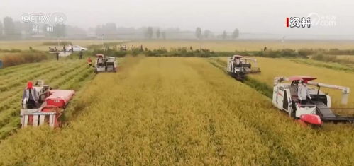 農(nóng)業(yè)高質(zhì)量發(fā)展成效顯著 農(nóng)業(yè)科技進(jìn)步貢獻(xiàn)率達(dá)62.4