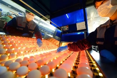 復(fù)工啦!這些畫面從未如此激動人心