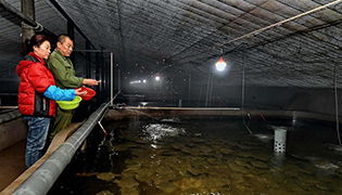 中國網(wǎng)新聞中心 傳遞中國價值