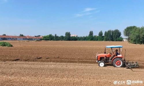 特色金融產(chǎn)品助力桓臺農(nóng)業(yè)產(chǎn)業(yè)發(fā)展提質(zhì)增效