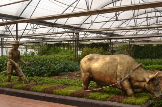 植物工廠走進生活 農(nóng)場變農(nóng)廠 家庭自給 蔬菜柜 ,你get到了嗎