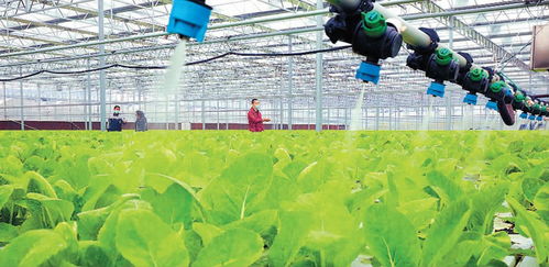 智慧農業(yè)增產增收