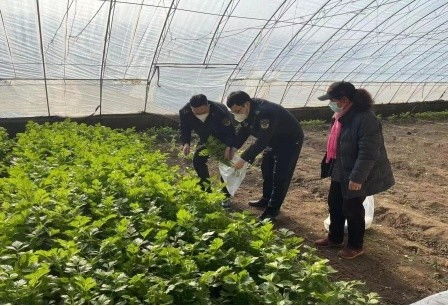 北京市農業(yè)執(zhí)法系統(tǒng)開展監(jiān)督抽查 護航春節(jié)農產品質量安全