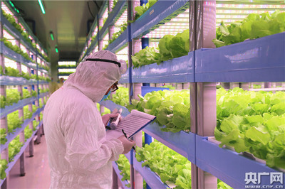 中央媒體走進世界最大植物工廠 探索新興光生物產業(yè)&ldquo;密碼&rdquo;