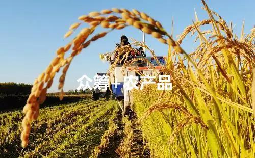 農業(yè)物權眾籌平臺可靠么