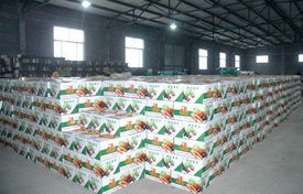 壽光蔬菜種植技術(shù)員外派 蔬菜種