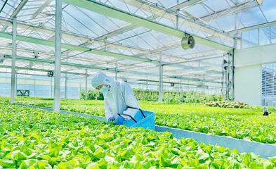 日銷超3噸!余姚這個(gè)植物&ldquo;夢(mèng)工廠&rdquo;解鎖四季豐收密碼