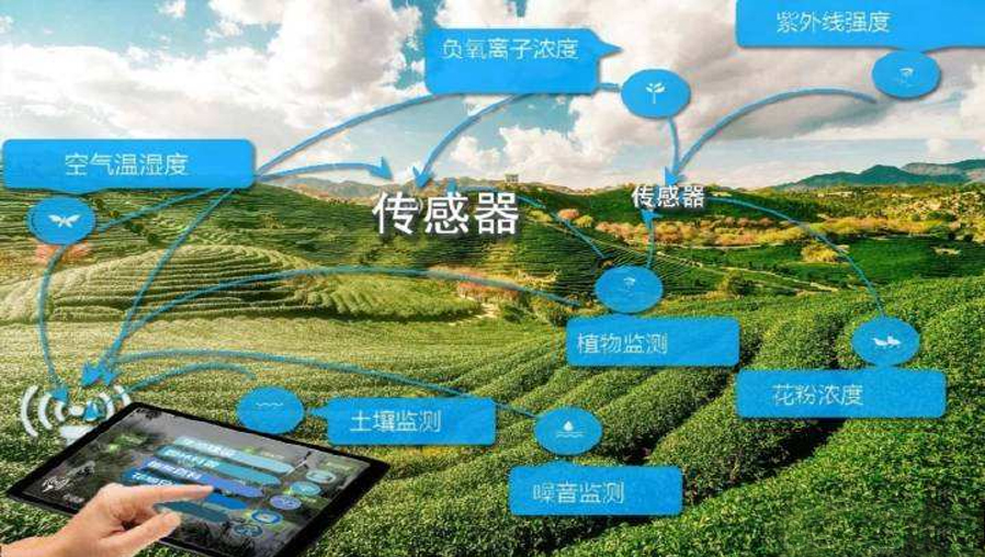 騰淵達智慧園林解決方案,讓人與自然更親近一步