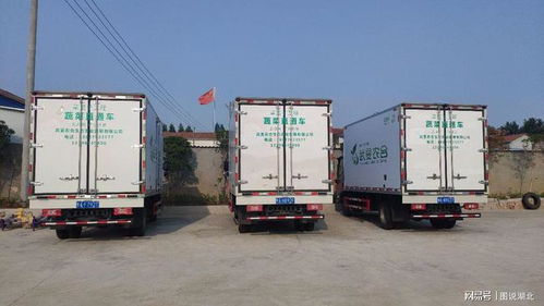 武漢市選派813名第一書記 463支工作隊駐村幫扶助力鄉村振興