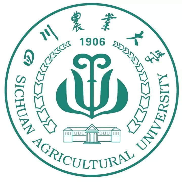 大學?；蔗屃x 之五(S-T)