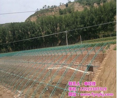 安陽豐源農(nóng)業(yè)與廣安鋼結構大棚建設 現(xiàn)代農(nóng)業(yè)的堅實支柱