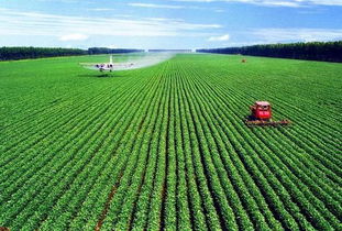 外媒眼中的中國(guó)農(nóng)業(yè)改革40年 從溫飽不足到全球貢獻(xiàn)者的轉(zhuǎn)型