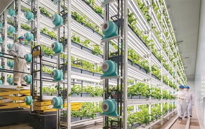 大國(guó)強(qiáng)農(nóng)向新行 現(xiàn)代農(nóng)業(yè)發(fā)展的戰(zhàn)略路徑