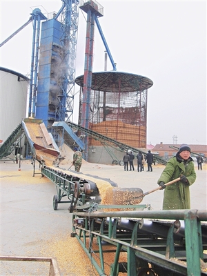 小型稻谷烘干塔廠家與價(jià)格概覽——神華機(jī)械廠家在農(nóng)業(yè)機(jī)械領(lǐng)域的優(yōu)勢(shì)