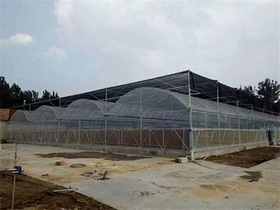 宏陽溫室大棚 昆明農(nóng)業(yè)大棚廠家直銷的優(yōu)質(zhì)選擇