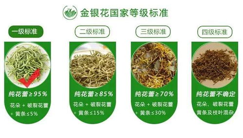 廣西巴馬意生活生態(tài)農(nóng)業(yè)產(chǎn)品正式上市 健康農(nóng)業(yè)新標(biāo)桿，綠色生活新風(fēng)尚